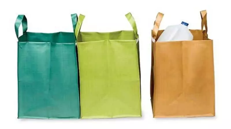 reusable bags