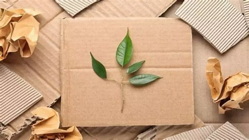 sustainable packaging