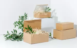 Eco-Friendly Product Boxes