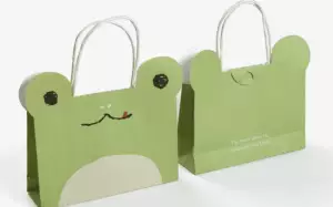 Unique Paper Bag