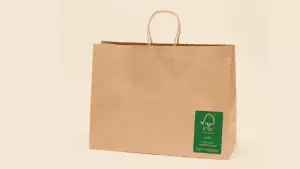 Sustainable Retail Bag